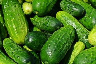 梦见到瓜地摘瓜吃,摘瓜品尝的奇幻之旅