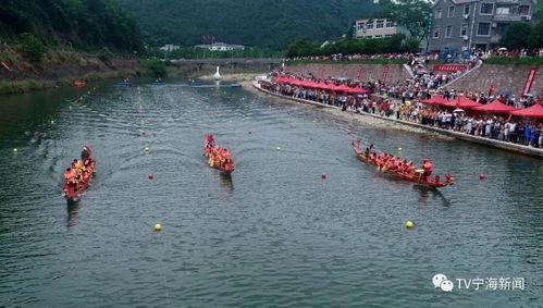 宁海最新吃瓜事件,揭秘背后惊人真相
