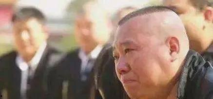 信宜吃瓜事件始末,一场网络热议背后的真相与反思