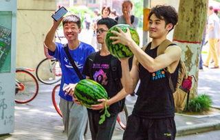 南山学院事件吃瓜,揭秘校园风波背后的真相与反思