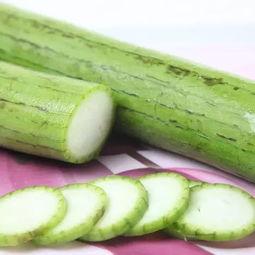 被虫吃的瓜图片,一窥瓜田里的“隐形杀手”