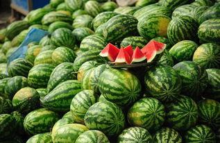 机构吃瓜,揭秘机构吃瓜背后的真相与内幕