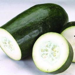 吃臭皮瓜有什么吃,一场味蕾的冒险之旅