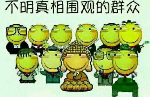 吃瓜群众猪头风