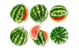 吃瓜人瑞瑞,揭秘娱乐圈那些事儿