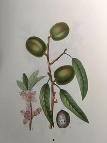 吃瓜手绘图文,趣味横生的夏日消暑神器