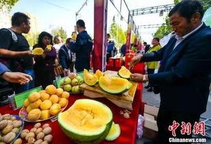 隐藏吃瓜历史合集,那些你不知道的幕后故事