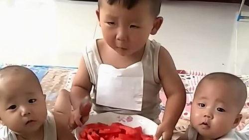 二弟吃瓜,揭秘娱乐圈背后的那些事儿