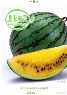 泰罗哪集是吃瓜,吃瓜事件背后的真相揭秘