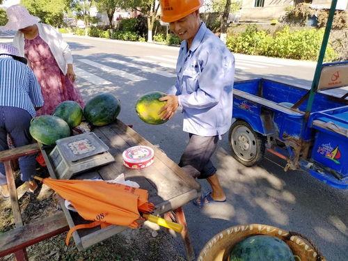 吃瓜贩子的群众,揭秘吃瓜群众背后的故事