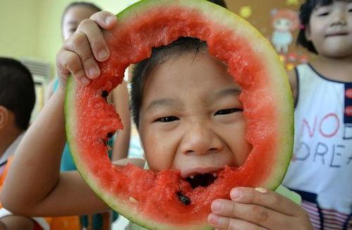 捧瓜娃可以吃吗,揭秘能否食用的奥秘