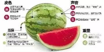 吃瓜协会微信,微信上的趣味生活圈