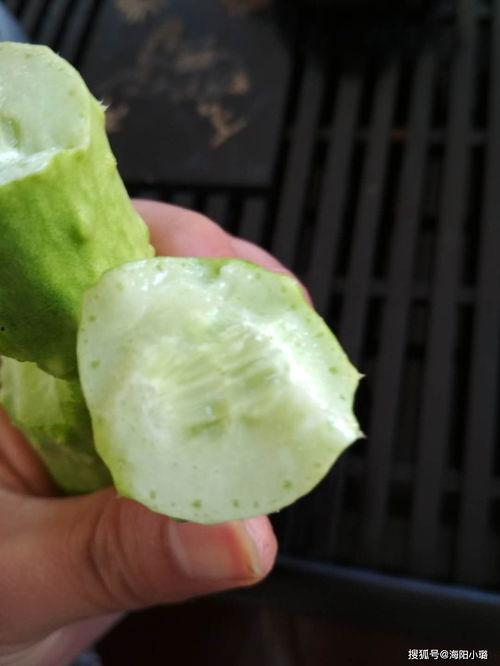 产妇可以吃白玉瓜吗,白玉瓜助力产妇恢复健康