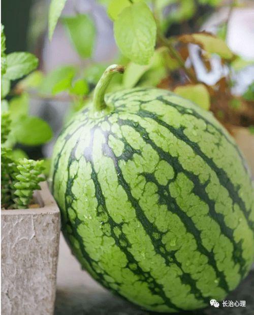 吃瓜是一种什么心理现象,探究围观心理现象背后的奥秘