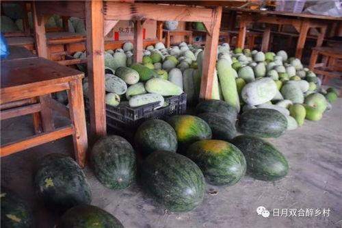 鹤山吃瓜,吃瓜文化背后的风味传奇