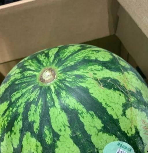 小雪吃瓜真假,揭秘真相与谣言的交织