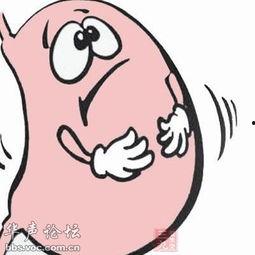 胃胀气吃小瓜,轻松缓解胃胀气困扰