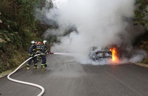 机车群吃瓜,揭秘机车文化中的趣味瞬间