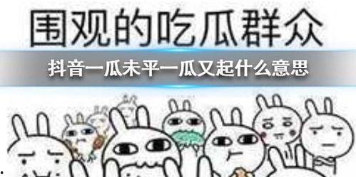 抖音吃瓜评论梗,揭秘网络热点的背后真相